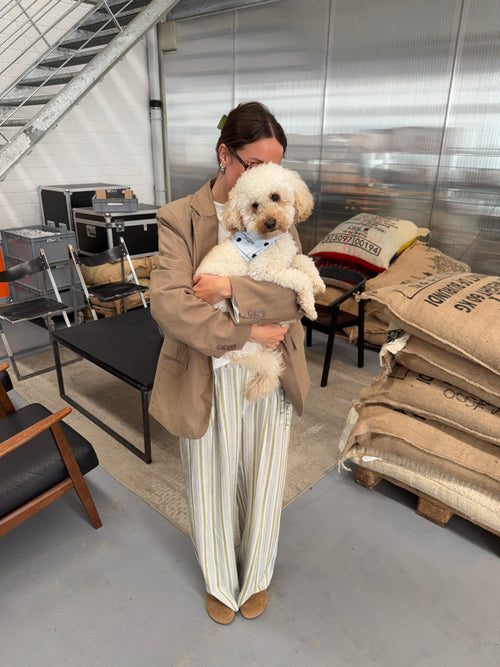 Morning Stripe Pants